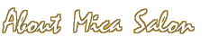 About Mica Salon